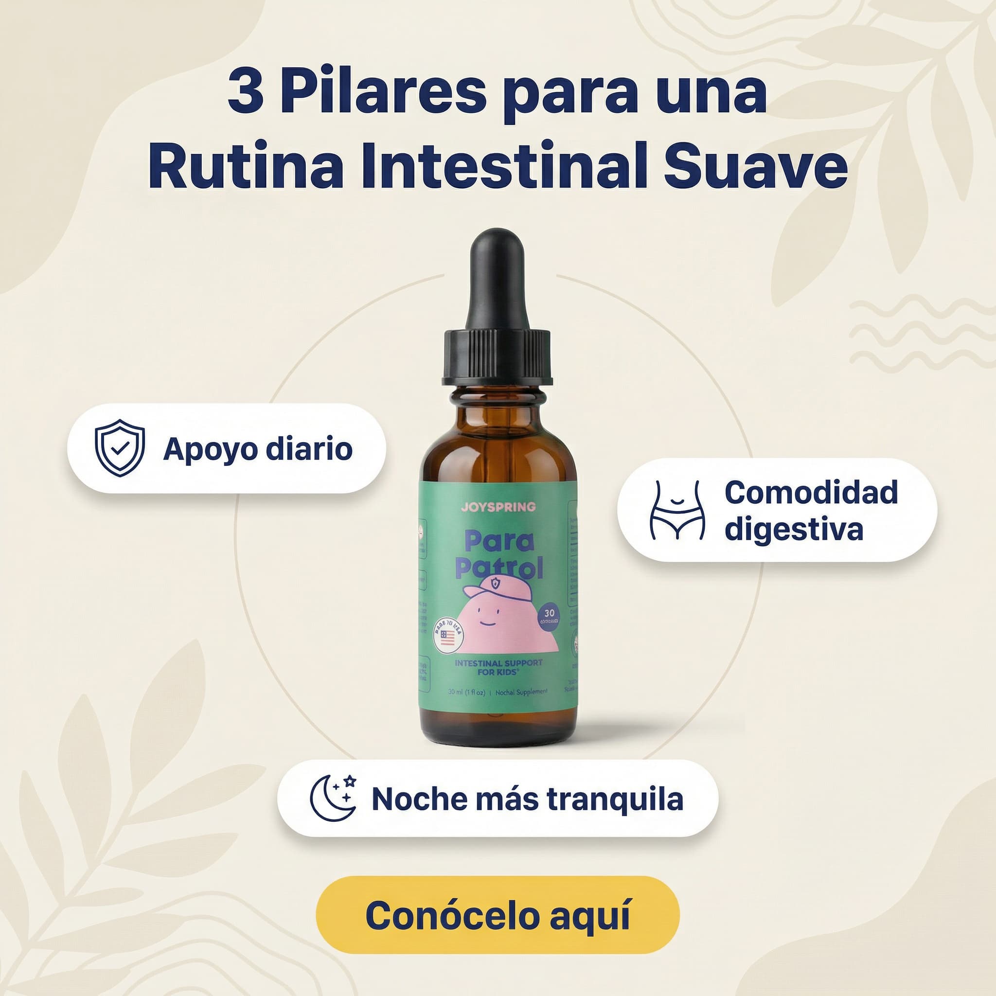 JoySpring Para Patrol